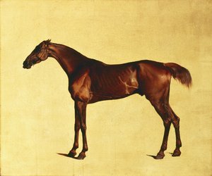 Pangloss - George Stubbs